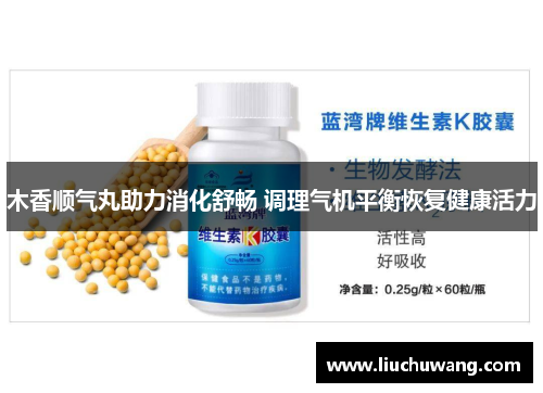 木香顺气丸助力消化舒畅 调理气机平衡恢复健康活力 木香顺气丸助力消化舒畅 调理气机平衡恢复健康活力