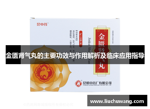 金匮肾气丸的主要功效与作用解析及临床应用指导 金匮肾气丸的主要功效与作用解析及临床应用指导