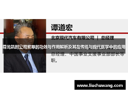 尊龙凯时公司紫草的功效与作用解析及其在传统与现代医学中的应用