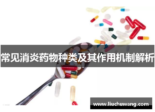 常见消炎药物种类及其作用机制解析