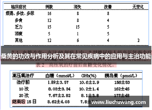 桑黄的功效与作用分析及其在常见疾病中的应用与主治功能