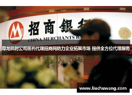 尊龙凯时公司医药代理招商网助力企业拓展市场 提供全方位代理服务
